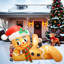 Christmas Decoration