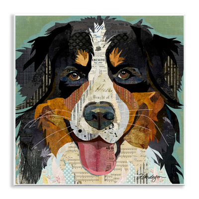 " Bernese Mountain Dog Portrait Layered Ephemera Collage " by Traci Anderson