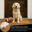 28in. x 16in. NFL Single Color Outdoor Coir Door Mat-90539568