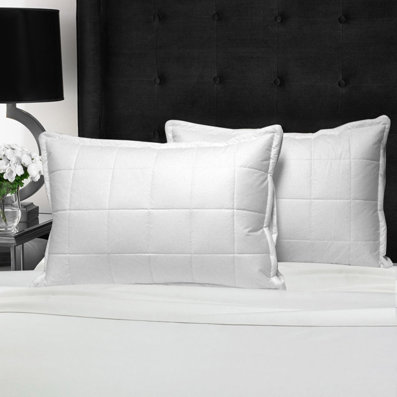 Oreiller en duvet d'oie Kittredge, Grand