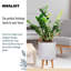 Dotted Style Cylinder Planter with Feet-901821042-901821046