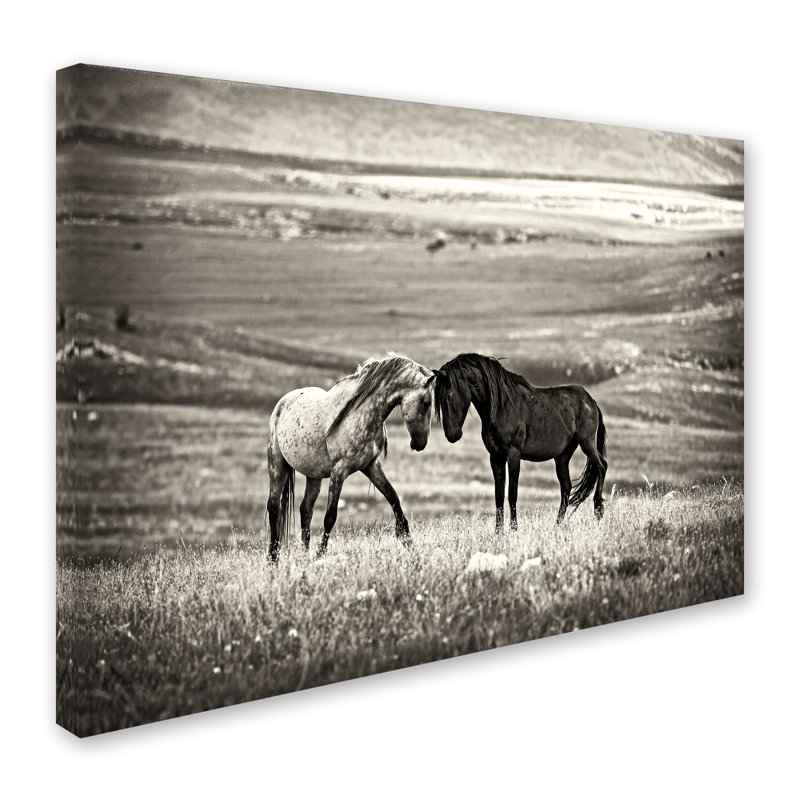 Wrapped Canvas Wall Art - Vedran Vidak 'Close Encounter' Wall Art for Living Room, Bedroom, or Office Décor - 35x47