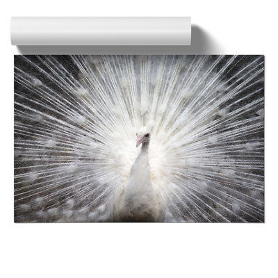 White Peacock Painting - Frameless Print