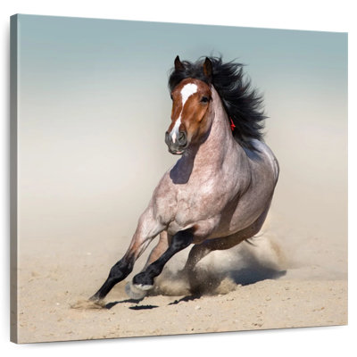 Crowle Bay Roan Horse