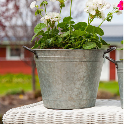Zipporah Metal Cachepot