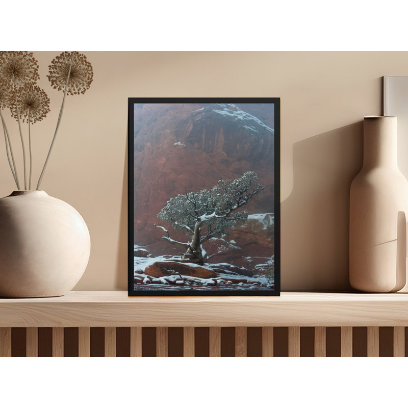 Conlin Single Picture Frame Print, 35.56 cm H x 27.94 cm W