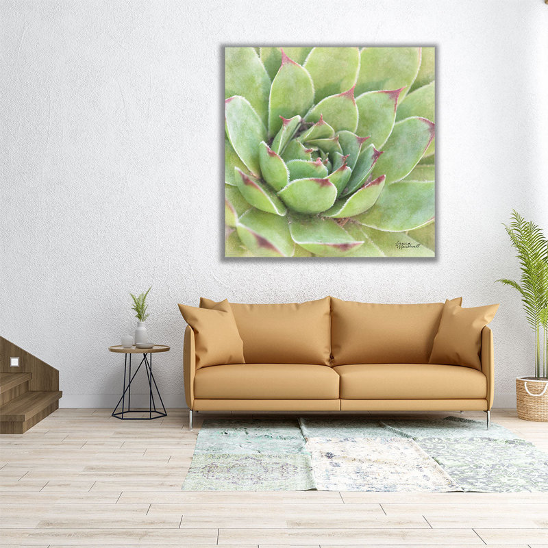 Garden Succulents IV - Canvas Print Wall Art, 24" H x 24" W