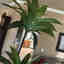 Photos des clients 3 de 3