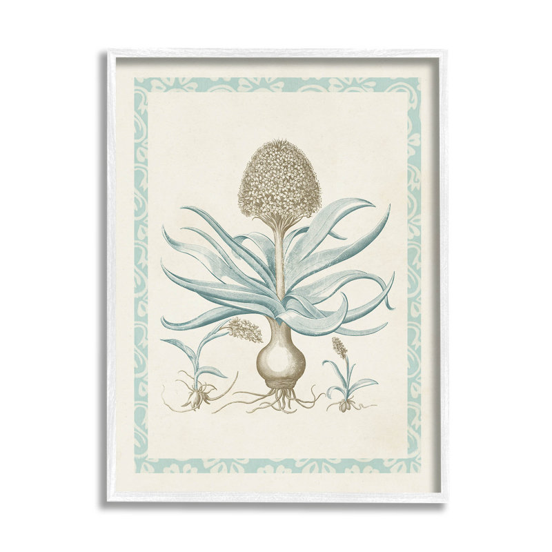 Étude de botanique latino-américaine, art giclée par Vision Studio, H 30 po x l 24 po x P 1,5 po