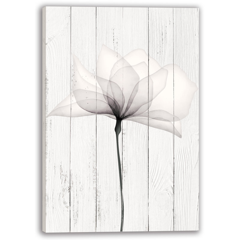 Art mural translucide sur toile en bois blanc, H 36 po x l 48 po