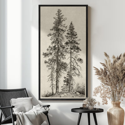 Vintage Pine Trees Drawing Classic Modern Art