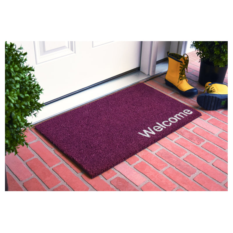 Tapis d'entrée antidérapant Kasper, L 24 po x L 36 po, Mauve