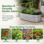 Planter Box