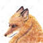 Imprimé matelassé Fox Décoration intérieure-729092068-729092067