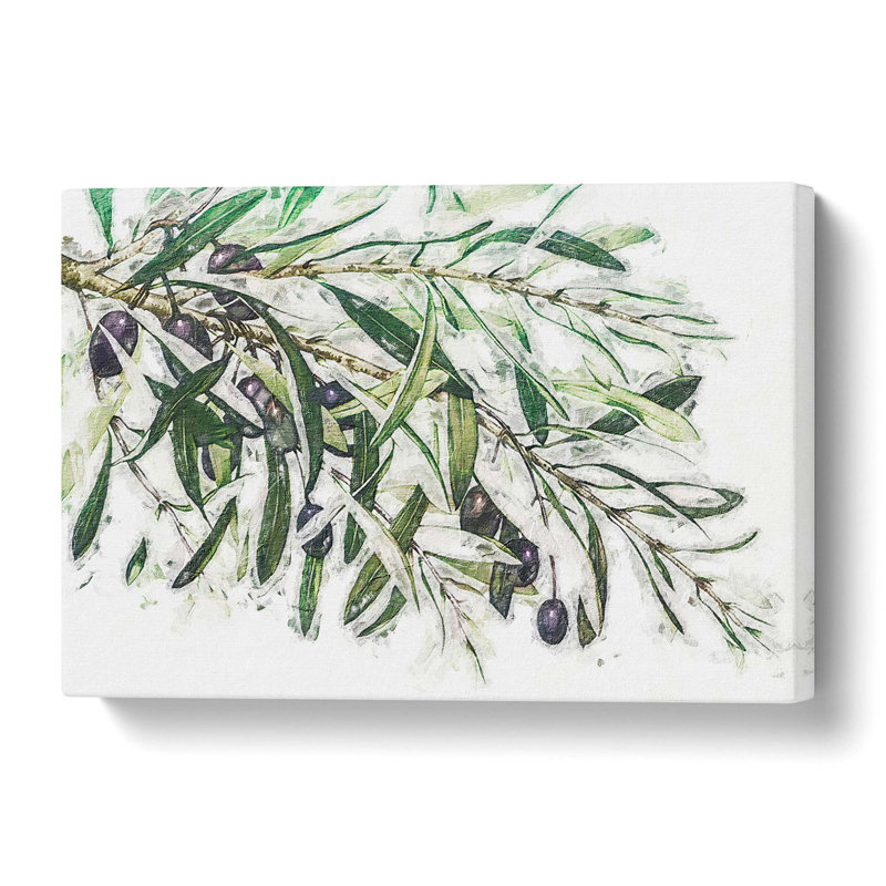 The Olive Branch - Wrapped Canvas Painting, 50.8 cm H x 76.2 cm W