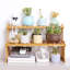 Lounsbury Multi-Tiered Plant Stand