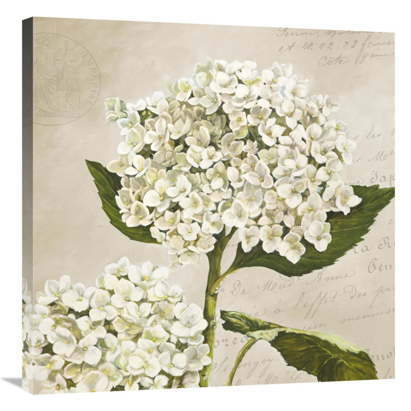 " Hydrangeas II (Neutre) " Oil Print, 18" H x 18" W x 1.5" D
