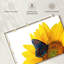 Tournesol Brampt avec papillon-108732512