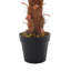 180cm Faux Hollyhock Plant in Pot