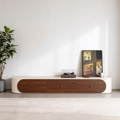 Modern Minimalist TV Stand