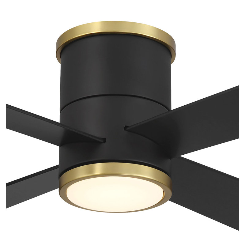 Falco 54" Led Flush Mount Ceiling Fan, Black/Brass, Black