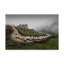 Mayis «Sheep Herder», reproduction de photo sur toile tendue-30318424