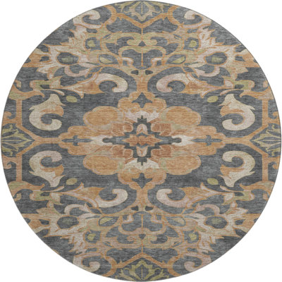 Premium Machine Washable Ralston AMF1947 Global Rug