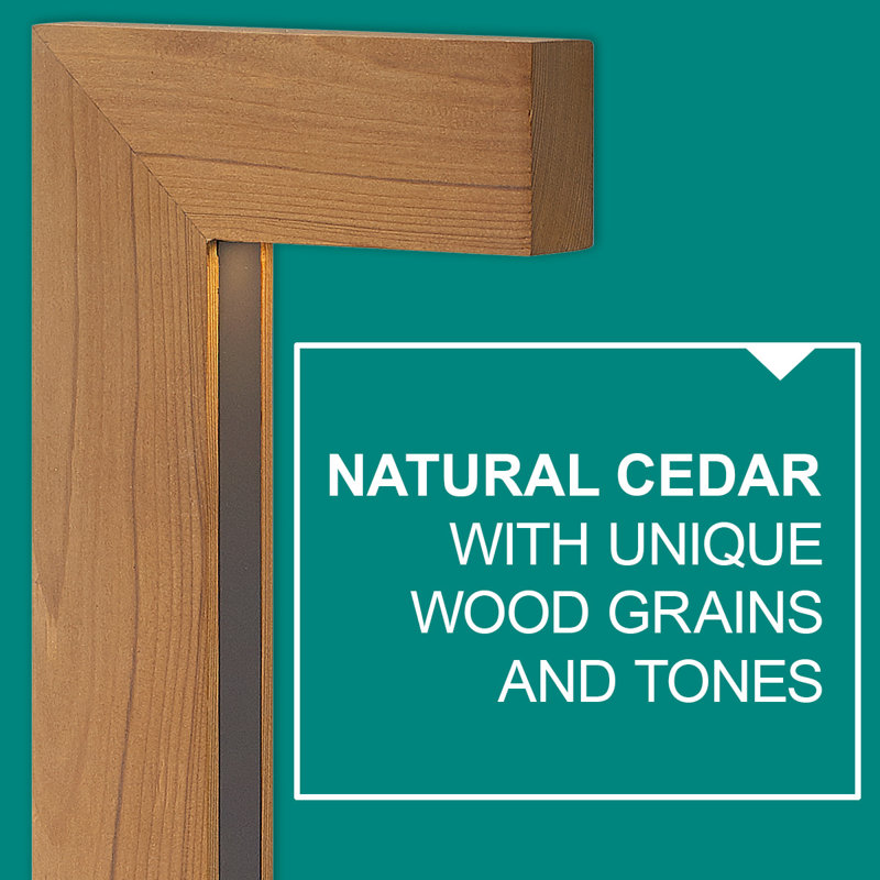 Atlantis Low Voltage Pathway Light, Cedar