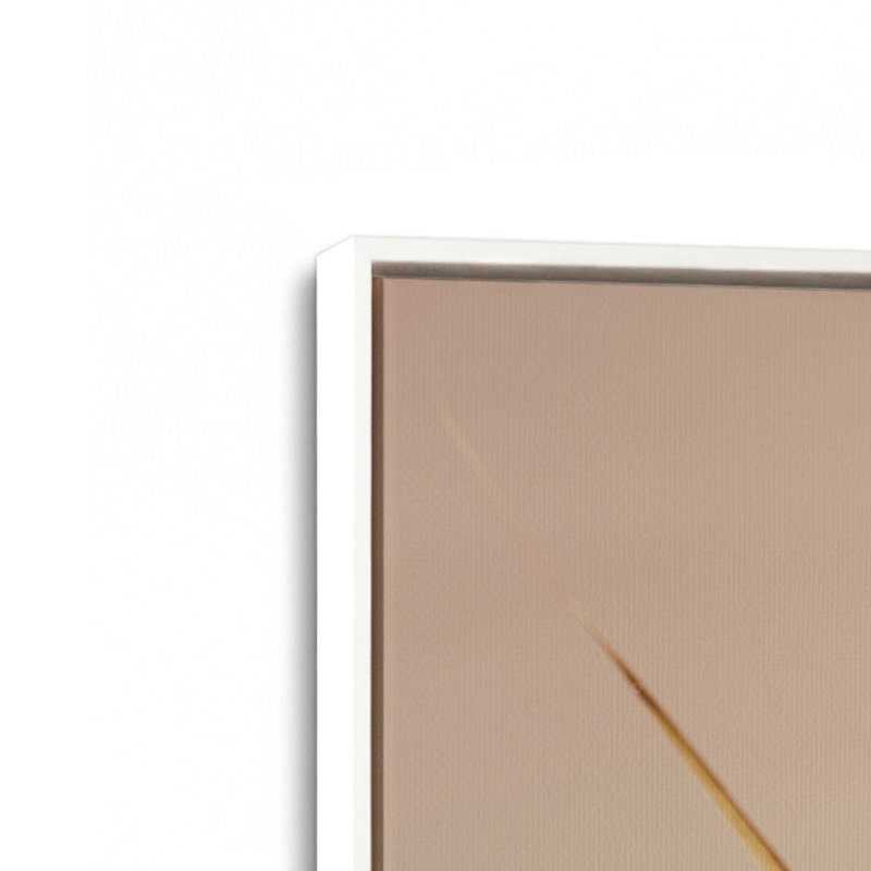 Champ d'or, Cadre flottant blanc opaque, H 12,75 po x l 12,75 po x P 1,75 po