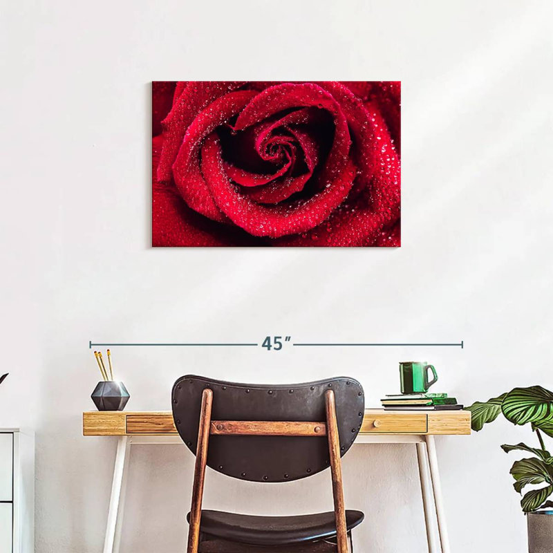 Gouttelettes sur une rose rouge, H 20 po x l 30 po
