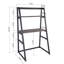 Pinank Solid Wood Top Leaning / Ladder Desk