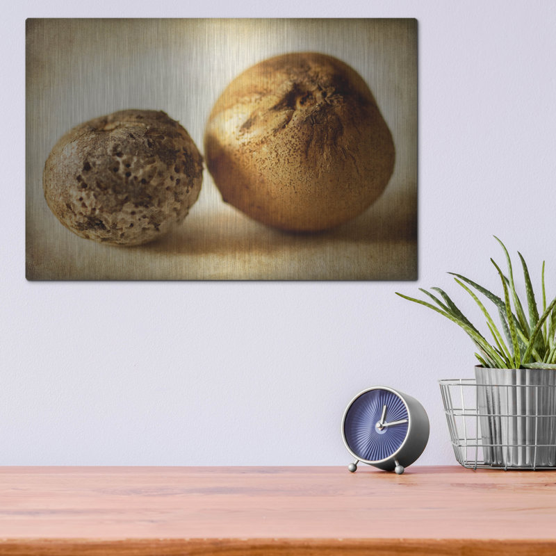 Latitude Run® «Oak Pods 2» par Jessica Rogers, art mural en métal, H 12 po x l 16 po