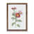 Walnut Framed Paper is unavailable
