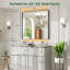 Miroir de salle de bain mural Llesenia-184043387-179273157-171006527