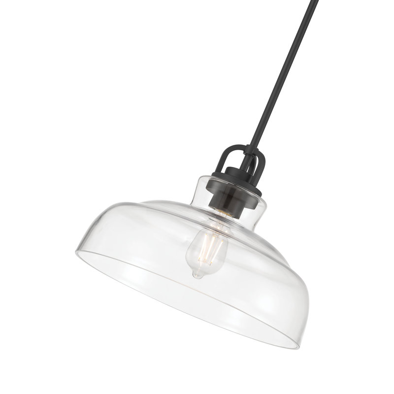 Luminaire suspendu 1 lumière de 14 po Clarien, Noir mat