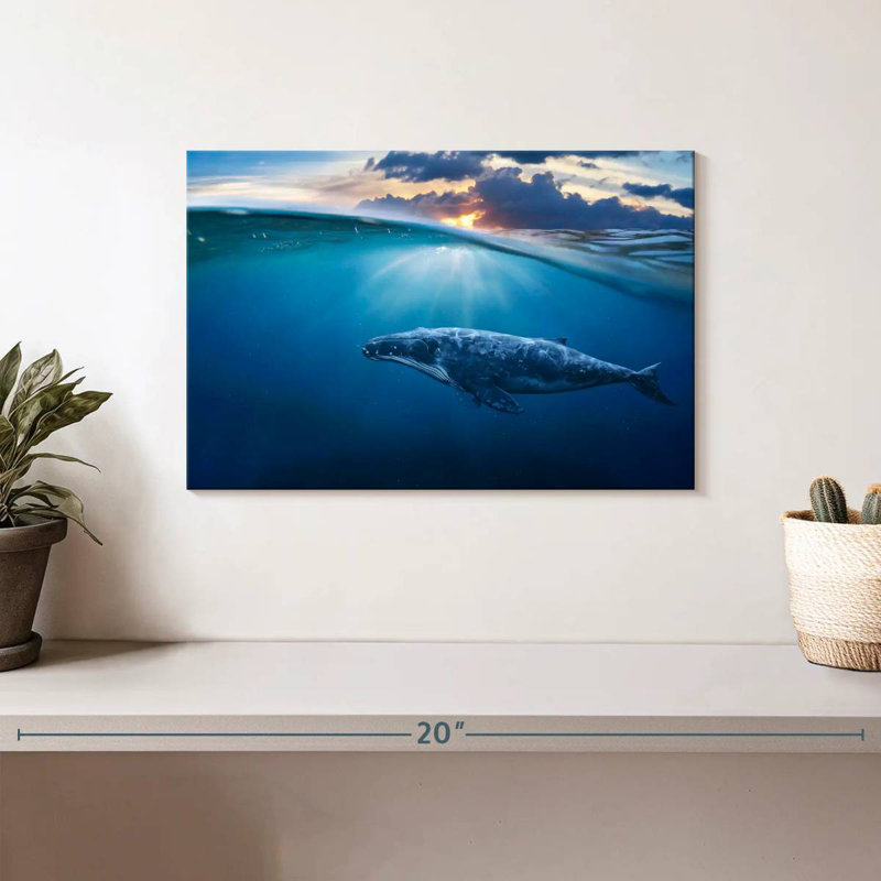 Aletra Whale Underwater, 8" H x 12" W