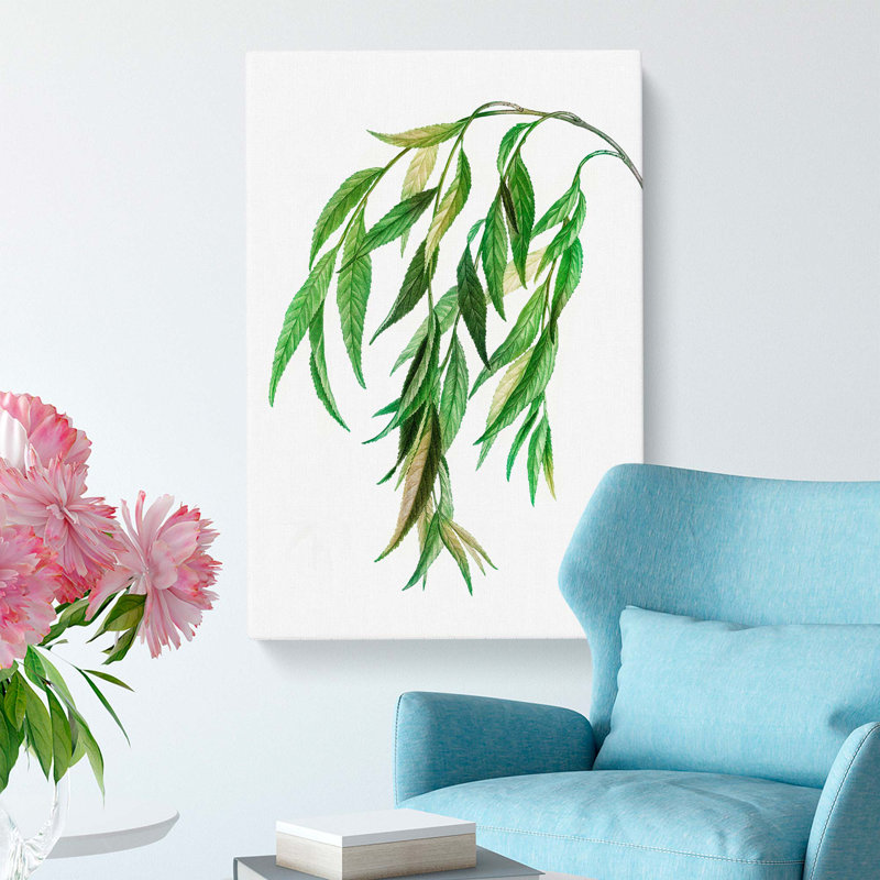 Weeping Willow Tree Branch by Pierre-Joseph Redoute - Wrapped Canvas, 76cm H x 50cm W x 3cm D