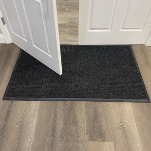 https://assets.wfcdn.com/im/48981676/resize-h310-w310%5Ecompr-r85/1559/155953119/lani-non-slip-outdoor-doormat.jpg