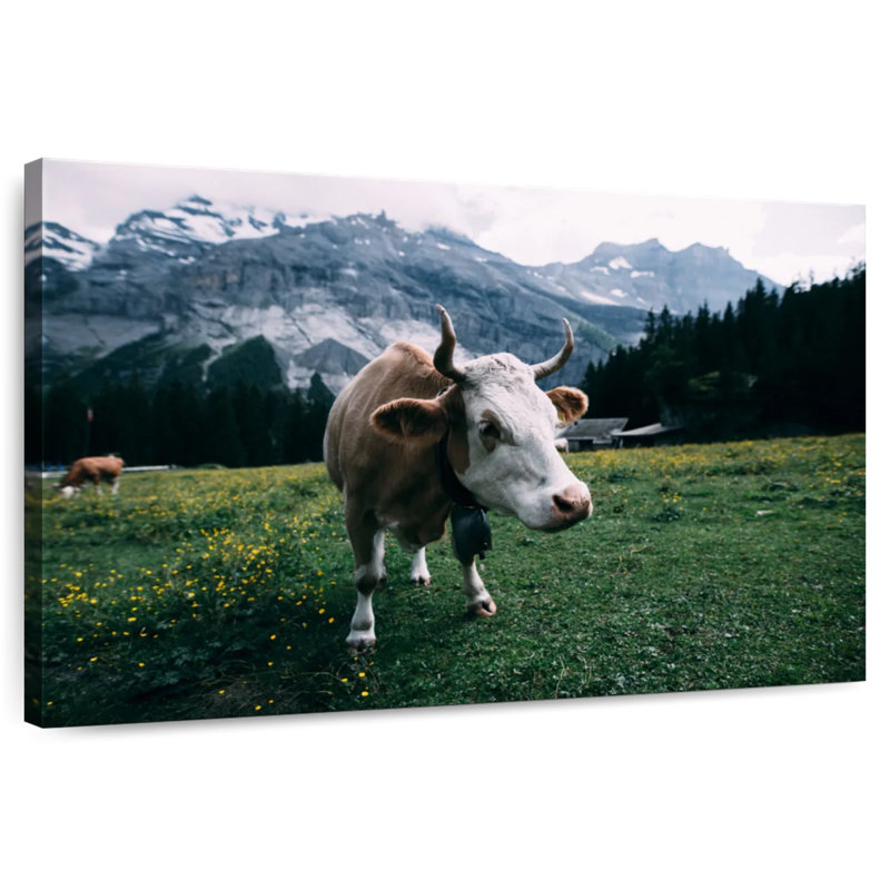 Brampt Curious Cow, 30" H x 45" W