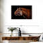 Tigre royal de Brampt-108706643