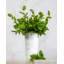 Artificial Salal Leaf Stem 23"