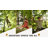 Adventure Sports Skate Swing