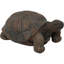 Statue de tortue Martinez-Wilson