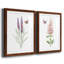 «Wildflower Botanical I», ensemble de 2 reproductions d'art-562126043-559780483