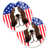 Basset Hound