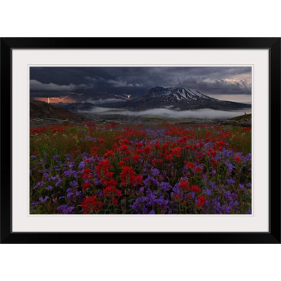 Straub Apocalypse Now by Miles Morgan  Photograph Print