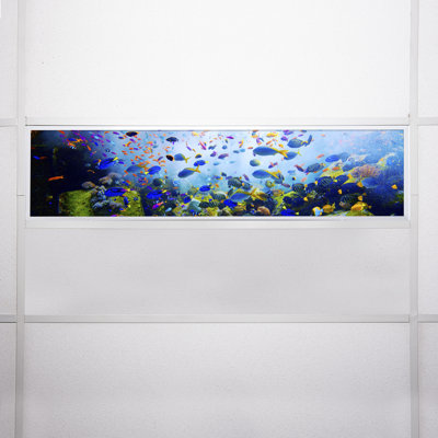 Ocean Rectangle Fixture Component Ceiling Light