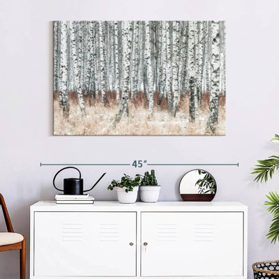 Alvord Winter Birch Grove