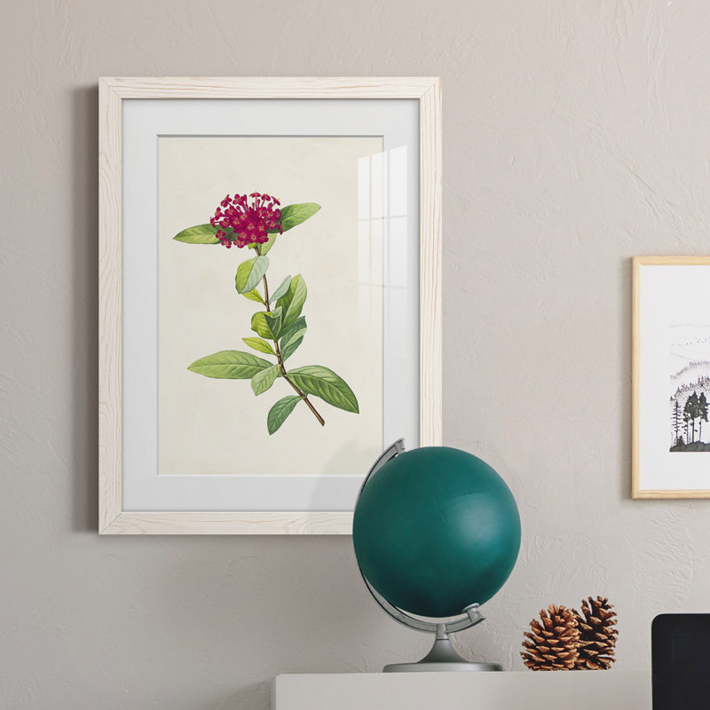 «Pretty Botanicals II», cadre photo, Cadre blanc, H 38 po x l 28 po x P 1 po
