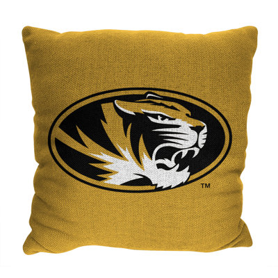  Acrylic Throw Square Pillow Cover & Insert